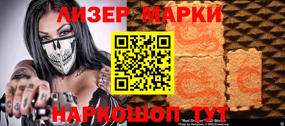 APVP Вязники