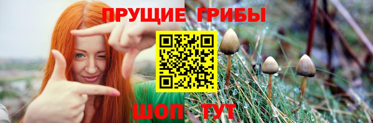 Галлюциногенные грибы прущие грибы Вязники