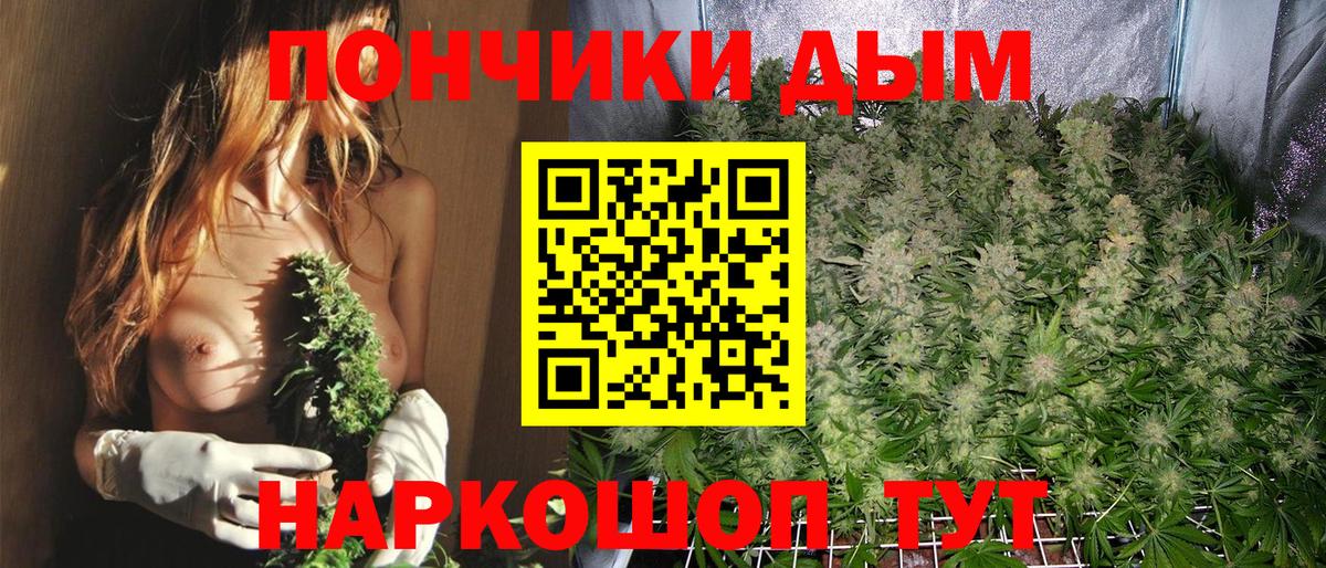 Бошки Шишки VHQ  Вход с VPN  Каннабис Bruce Banner  МАРИХУАНА тримм  Вязники  Бошки марихуана THC 21% 